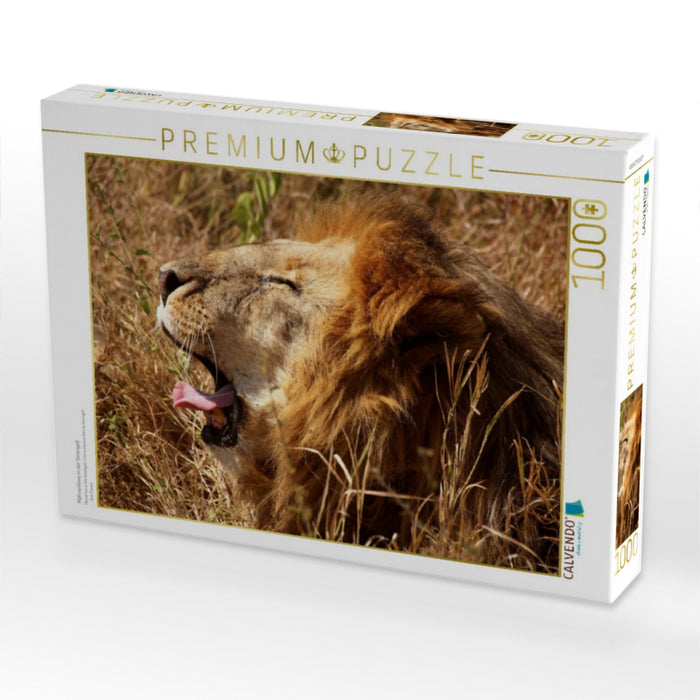 Mähnenlöwe in der Serengeti - CALVENDO Foto-Puzzle'