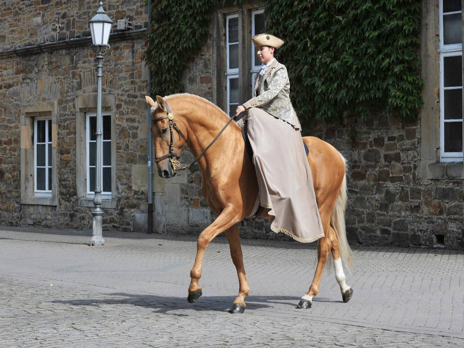 Lusitano Odeceixe - Fürstliche Hofreitschule Bückeburg - CALVENDO Foto-Puzzle'
