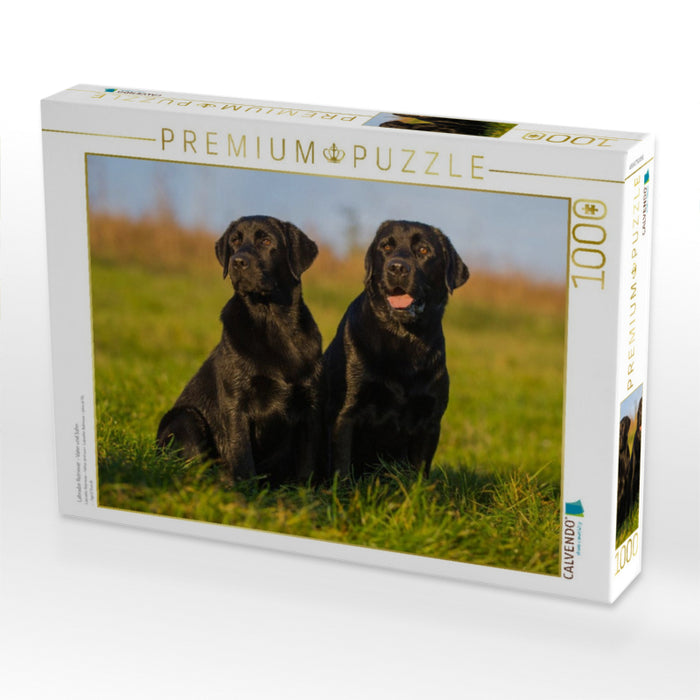 Labrador Retriever - Vater und Sohn - CALVENDO Foto-Puzzle'