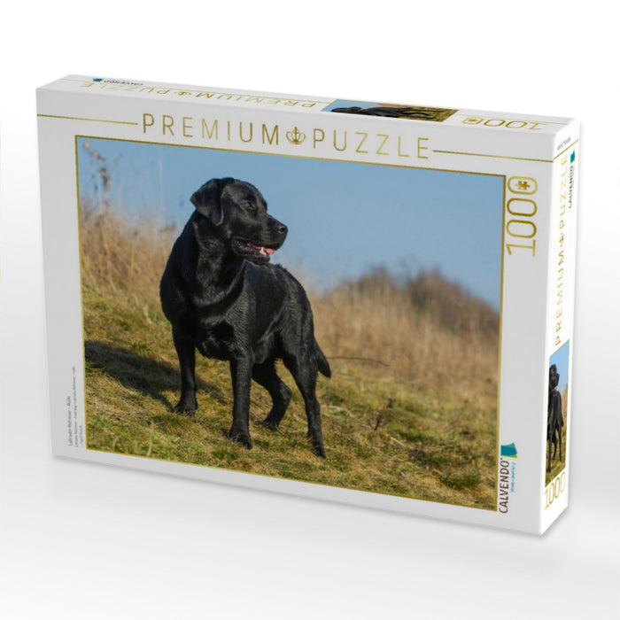 Labrador Retriever - Rüde - CALVENDO Foto-Puzzle'
