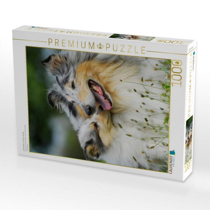 Collie Mutter mit ihrer Tochter - CALVENDO Foto-Puzzle'