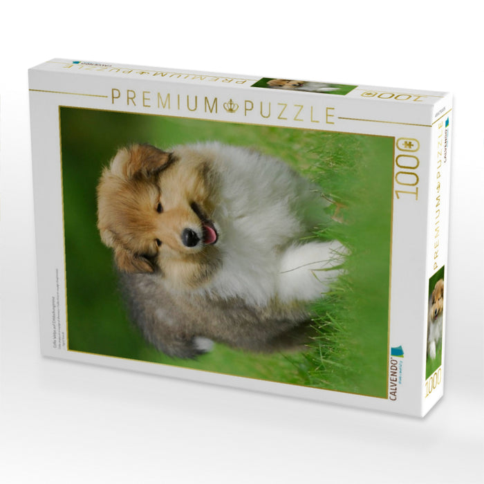 Collie Welpe auf Entdeckungsreise - CALVENDO Foto-Puzzle'