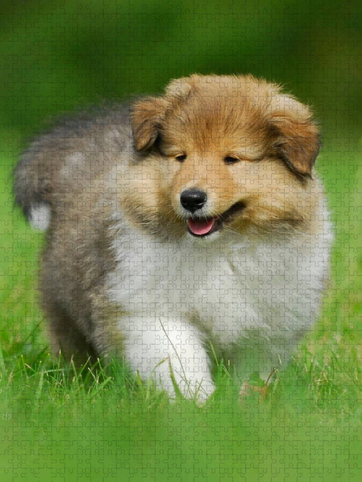 Collie Welpe auf Entdeckungsreise - CALVENDO Foto-Puzzle'