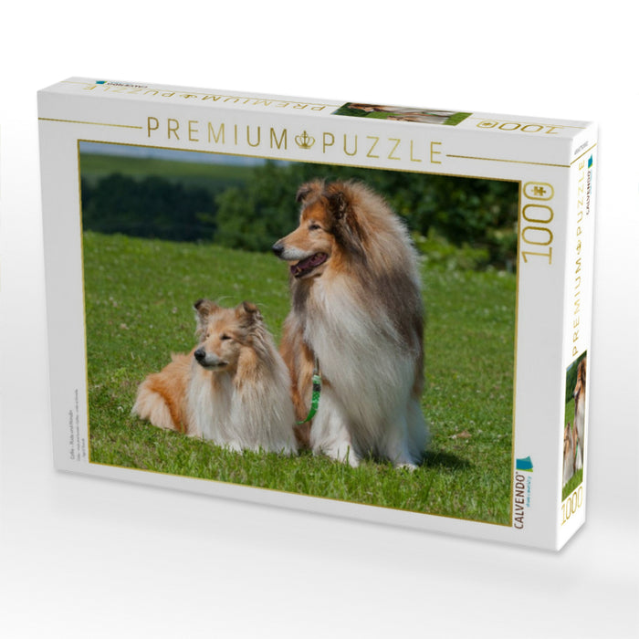 Collie - Rüde und Hündin - CALVENDO Foto-Puzzle'