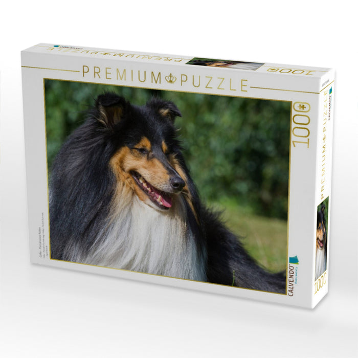 Collie - Porträt eines Rüden - CALVENDO Foto-Puzzle'