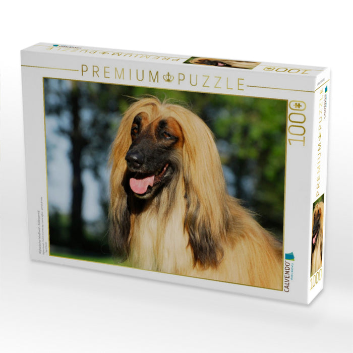 Afghanischer Windhund - Rüdenporträt - CALVENDO Foto-Puzzle'