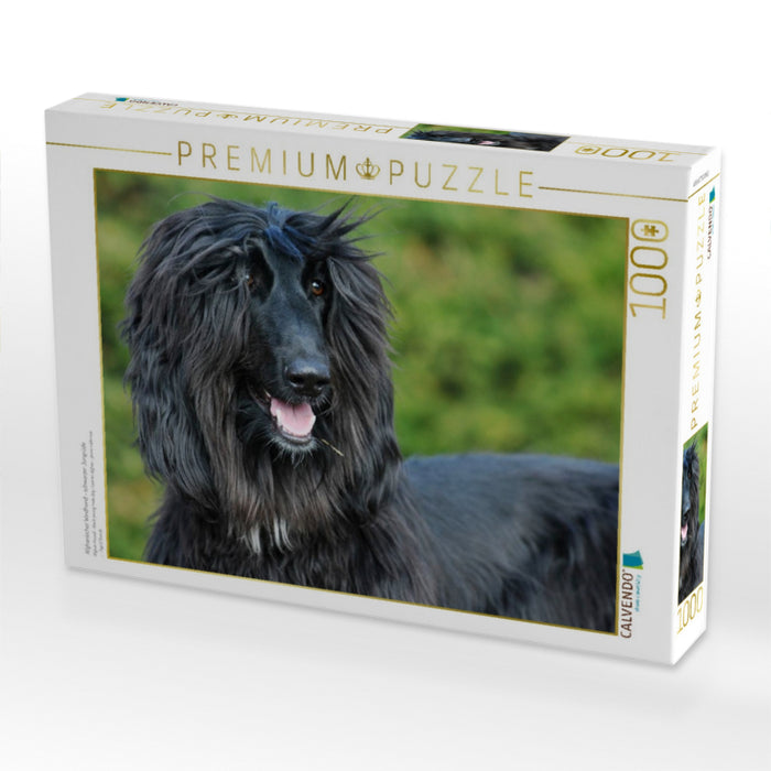 Afghanischer Windhund - schwarzer Jungrüde - CALVENDO Foto-Puzzle'
