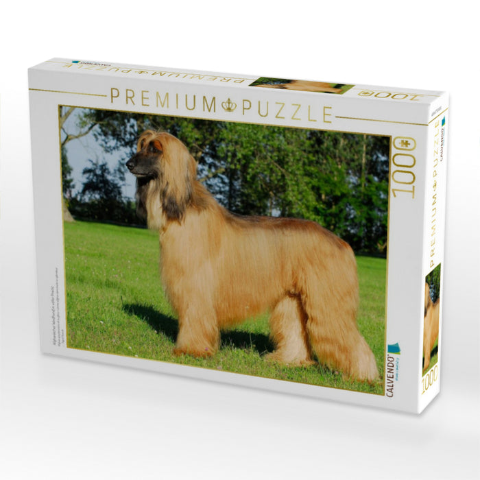 Afghanischer Windhund in voller Pracht - CALVENDO Foto-Puzzle'
