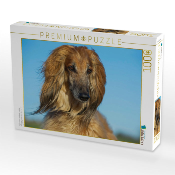 Afghanischer Windhund - Porträt - CALVENDO Foto-Puzzle'