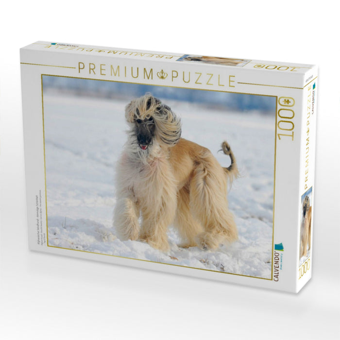 Afghanischer Windhund - Anmutige Schönheit - CALVENDO Foto-Puzzle'