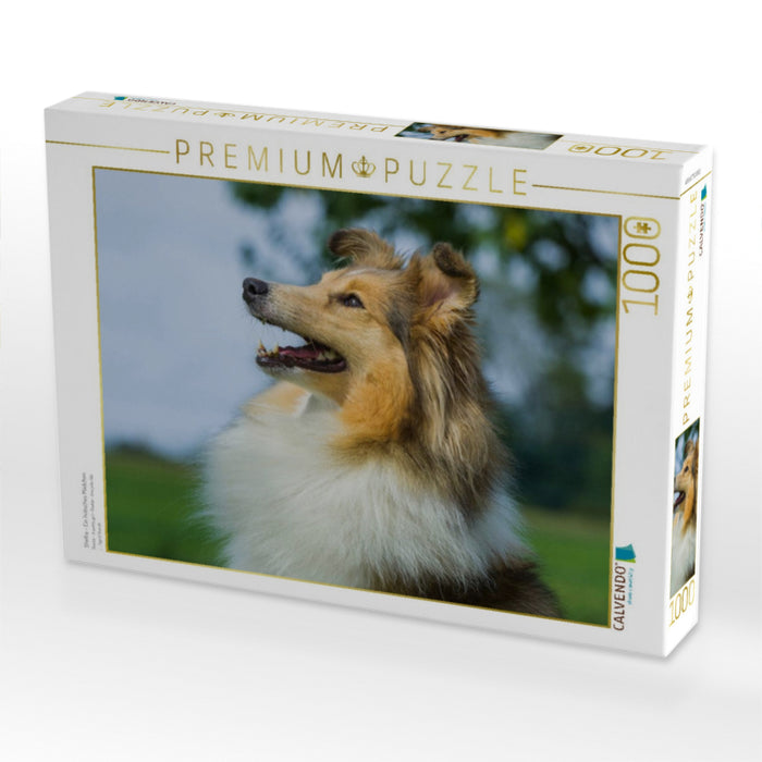 Sheltie - Ein hübsches Mädchen - CALVENDO Foto-Puzzle'