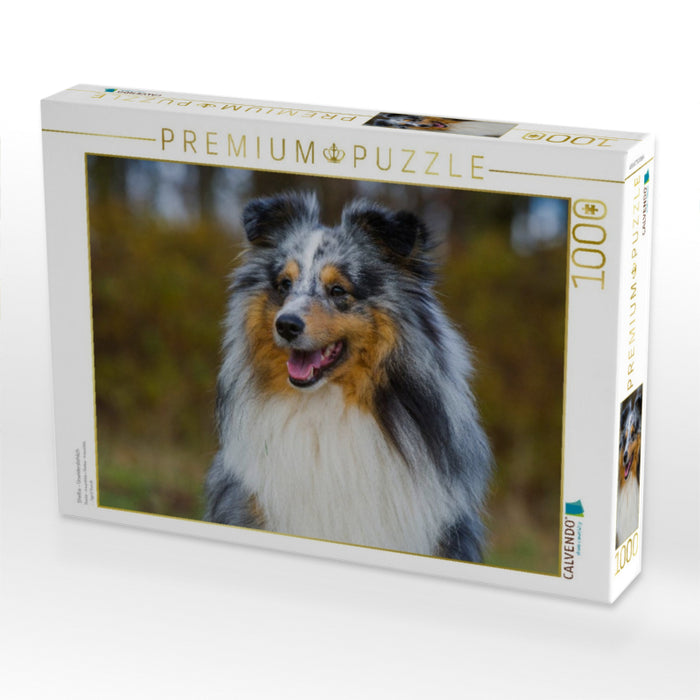 Sheltie - Unwiderstehlich - CALVENDO Foto-Puzzle'