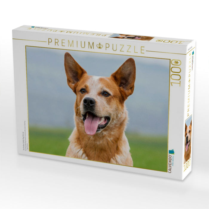 Australian Cattle Dog Porträt - CALVENDO Foto-Puzzle'