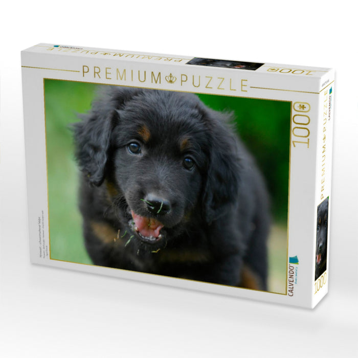 Hovawart - schwarzmarkener Welpe - CALVENDO Foto-Puzzle'