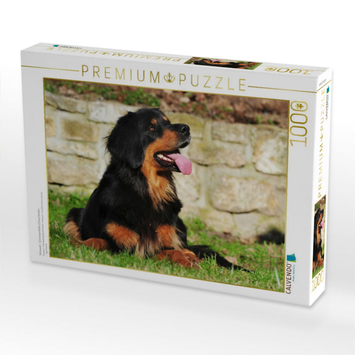 Hovawart - Eine traumhaft schöne Hündin - CALVENDO Foto-Puzzle'