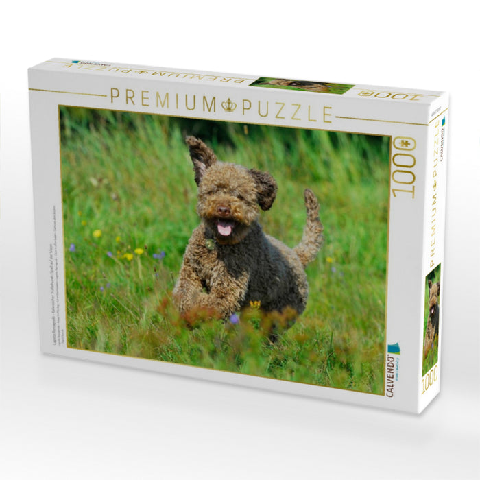 Lagotto Romagnolo - Italienischer Trüffelhund - Spaß auf der Wiese - CALVENDO Foto-Puzzle'