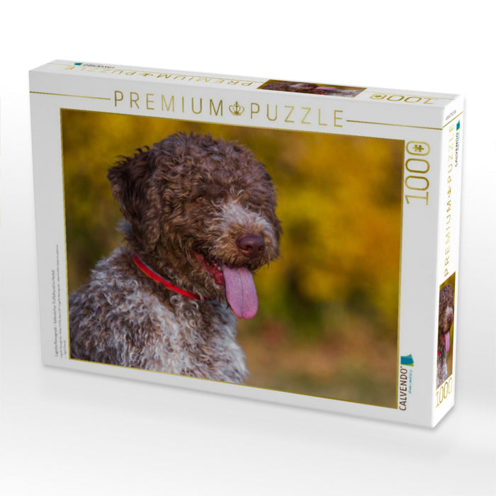 Lagotto Romagnolo - Italienischer Trüffelhund im Herbst - CALVENDO Foto-Puzzle'