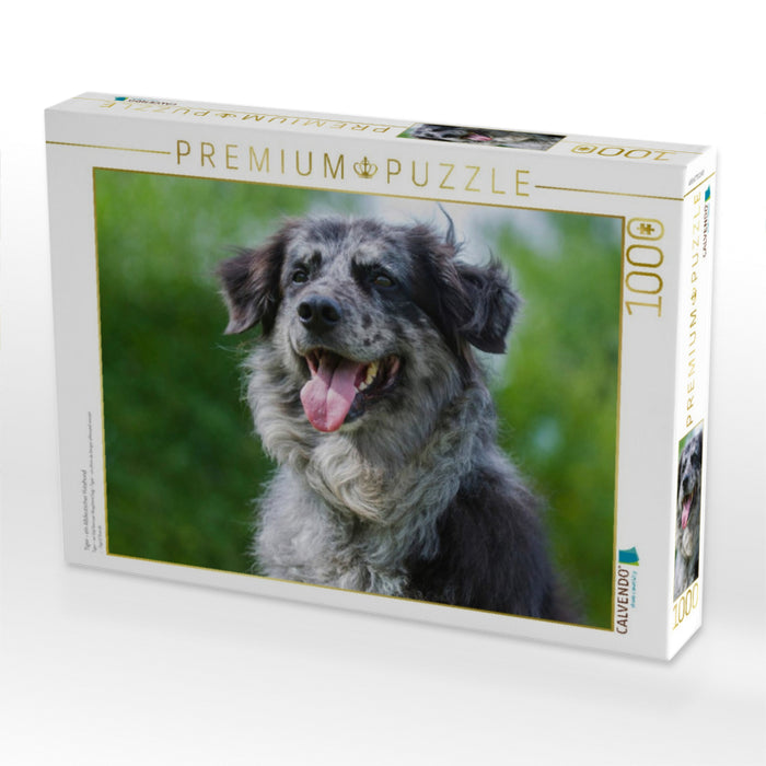 Tiger - ein Altdeutscher Hütehund - CALVENDO Foto-Puzzle'