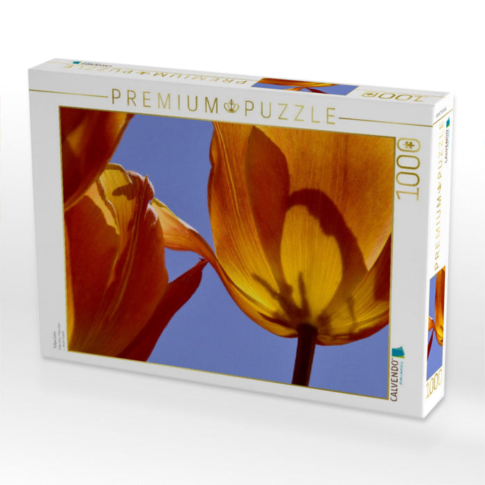 Tulipa Cairo - CALVENDO Foto-Puzzle'