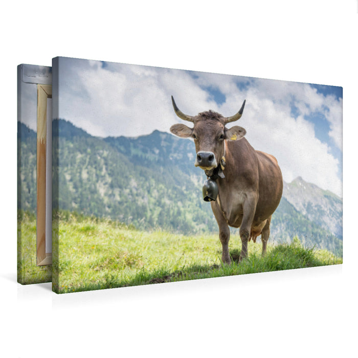 Premium Textil-Leinwand Original Braunvieh