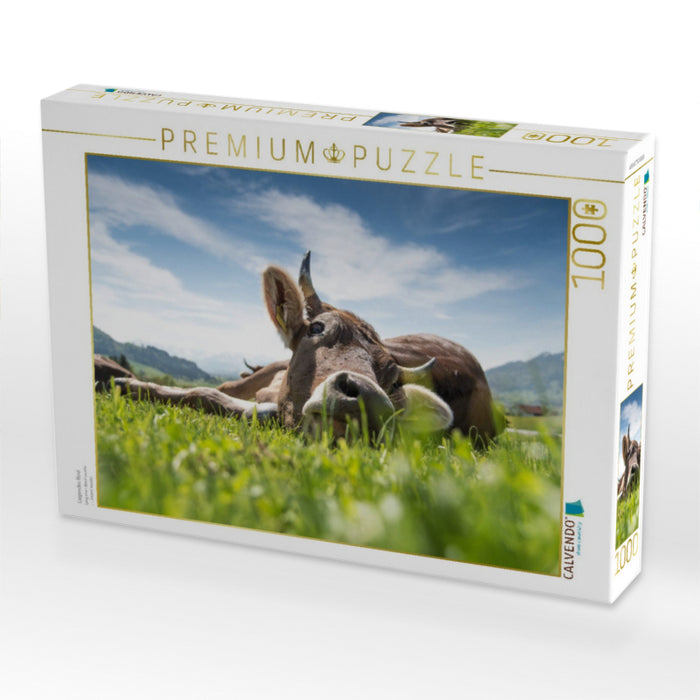 Liegendes Rind - CALVENDO Foto-Puzzle'