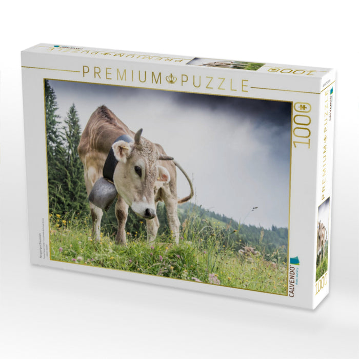 Neugieriges Braunvieh - CALVENDO Foto-Puzzle'