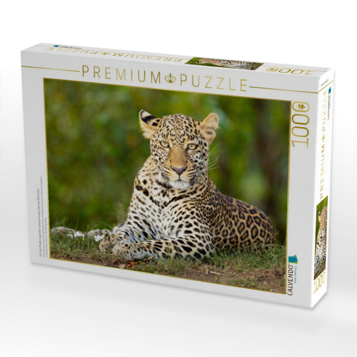 Auf dem Boden liegender Leopard beobachtet den Betrachter - CALVENDO Foto-Puzzle'