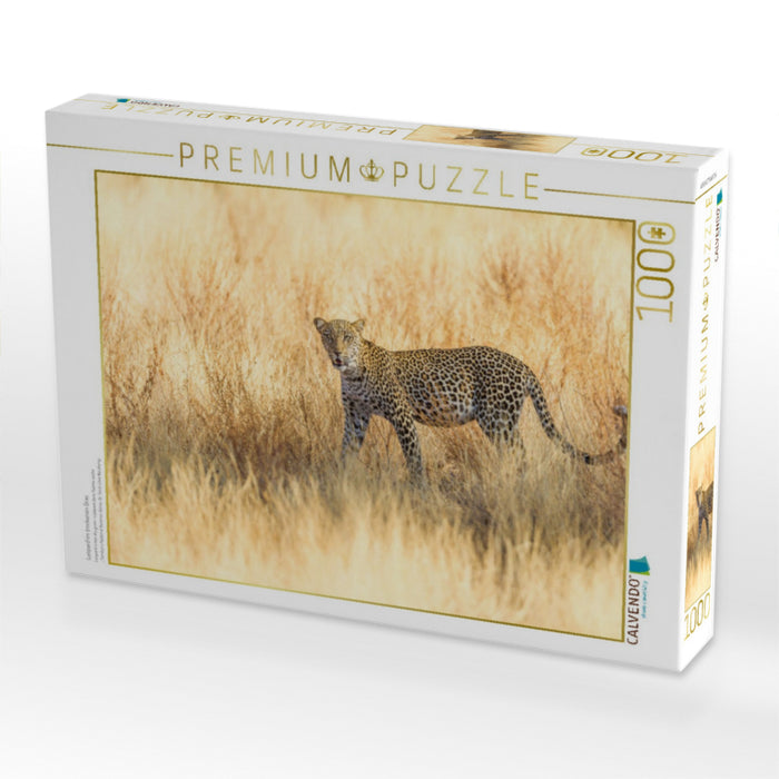 Leopard im trockenen Gras - CALVENDO Foto-Puzzle'