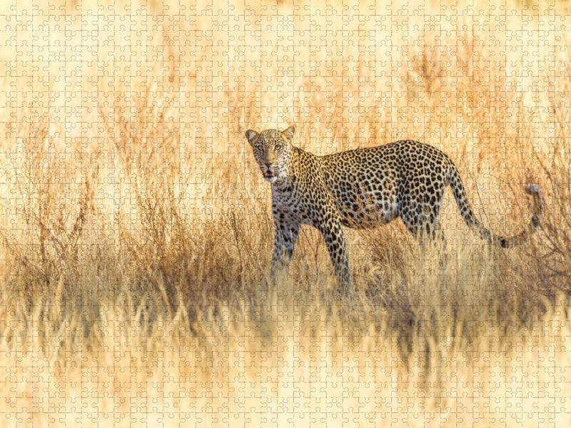 Leopard im trockenen Gras - CALVENDO Foto-Puzzle'