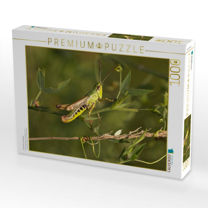 Gemeiner Grashüpfer - CALVENDO Foto-Puzzle'
