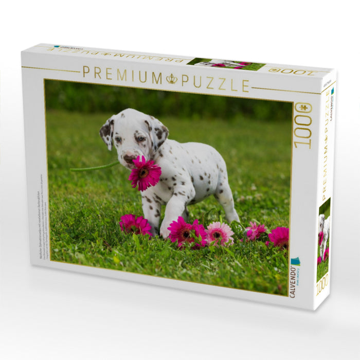 Niedlicher Dalmatinerwelpe mit rosafarbenen Gerberablüten - CALVENDO Foto-Puzzle'