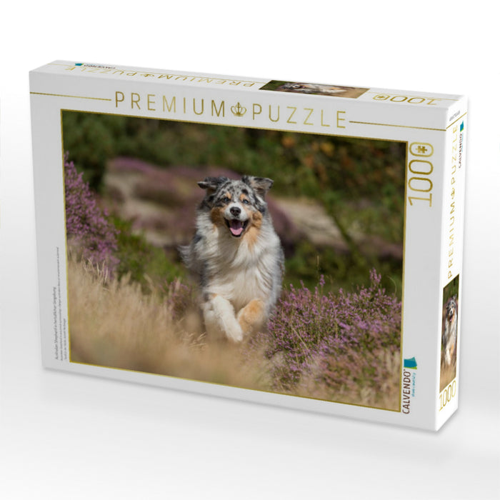 Australian Shepherd in herbstlicher Umgebung - CALVENDO Foto-Puzzle'