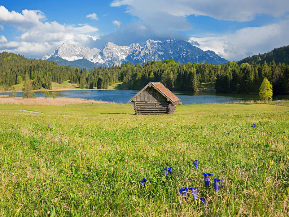 Enzianwiese am Geroldsee - CALVENDO Foto-Puzzle'