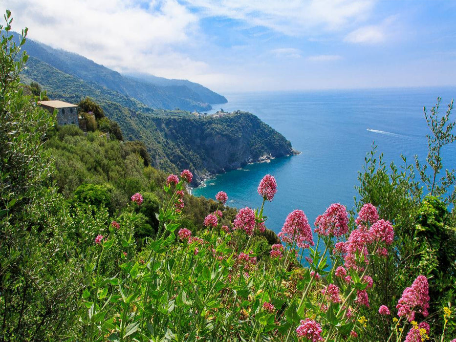 Trail östlich von Vernazza - CALVENDO Foto-Puzzle'
