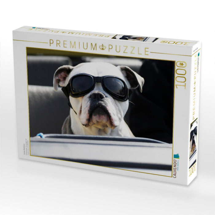 Cooler Beifahrer - CALVENDO Foto-Puzzle'