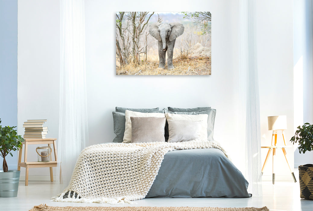 Premium Textil-Leinwand Premium Textil-Leinwand 120 cm x 80 cm quer Auge in Auge mit dem Babyelefant