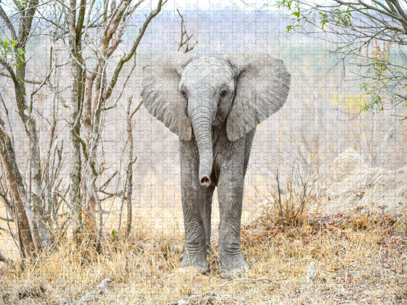 Auge in Auge mit dem Babyelefant - CALVENDO Foto-Puzzle'