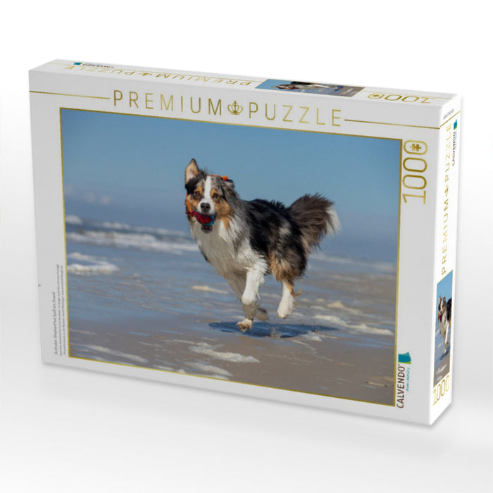 Australian Shepherd hat Spaß am Strand - CALVENDO Foto-Puzzle'