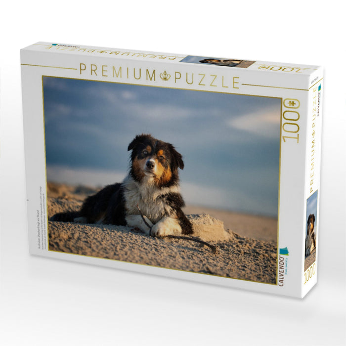 Australian Shepherd liegt am Strand - CALVENDO Foto-Puzzle'