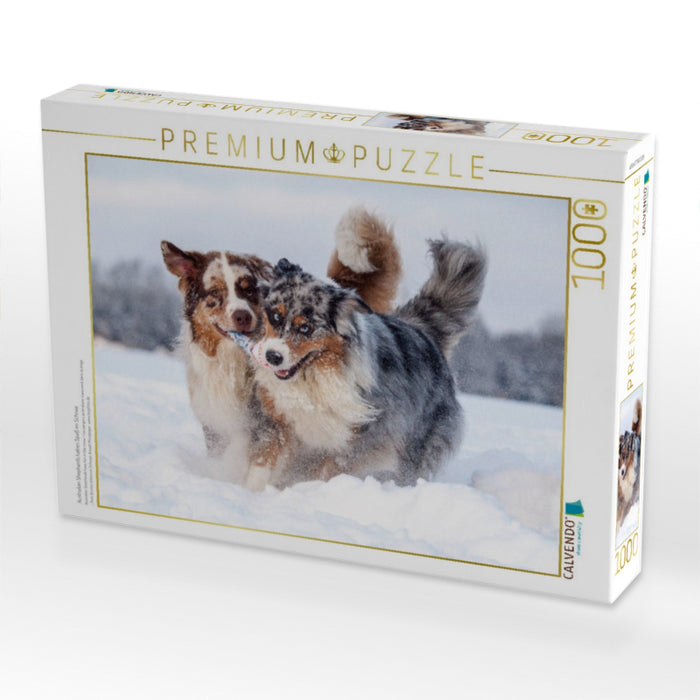 Australian Shepherds haben Spaß im Schnee - CALVENDO Foto-Puzzle'