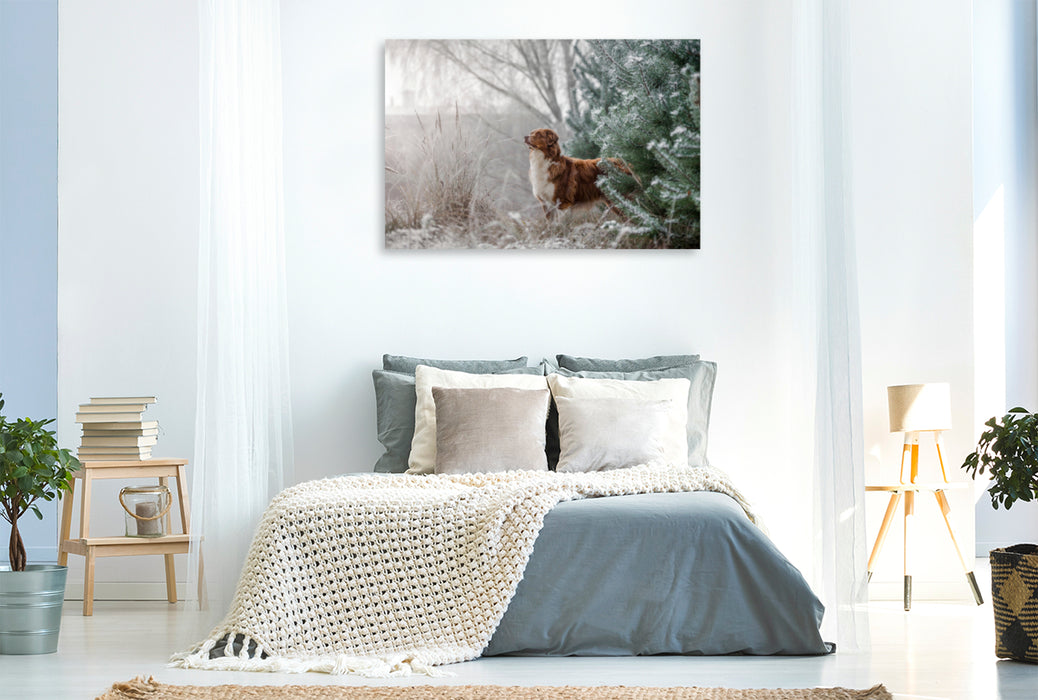 Premium Textil-Leinwand Premium Textil-Leinwand 120 cm x 80 cm quer Australian Shepherd in frostiger Winterlandschaft