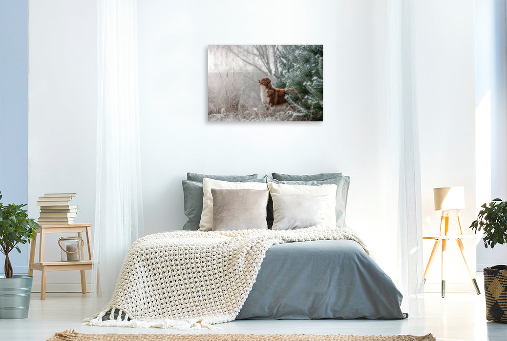 Premium Textil-Leinwand Premium Textil-Leinwand 120 cm x 80 cm quer Australian Shepherd in frostiger Winterlandschaft