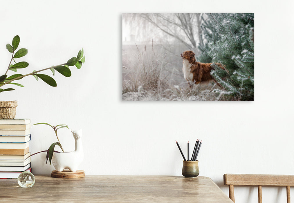 Premium Textil-Leinwand Premium Textil-Leinwand 120 cm x 80 cm quer Australian Shepherd in frostiger Winterlandschaft