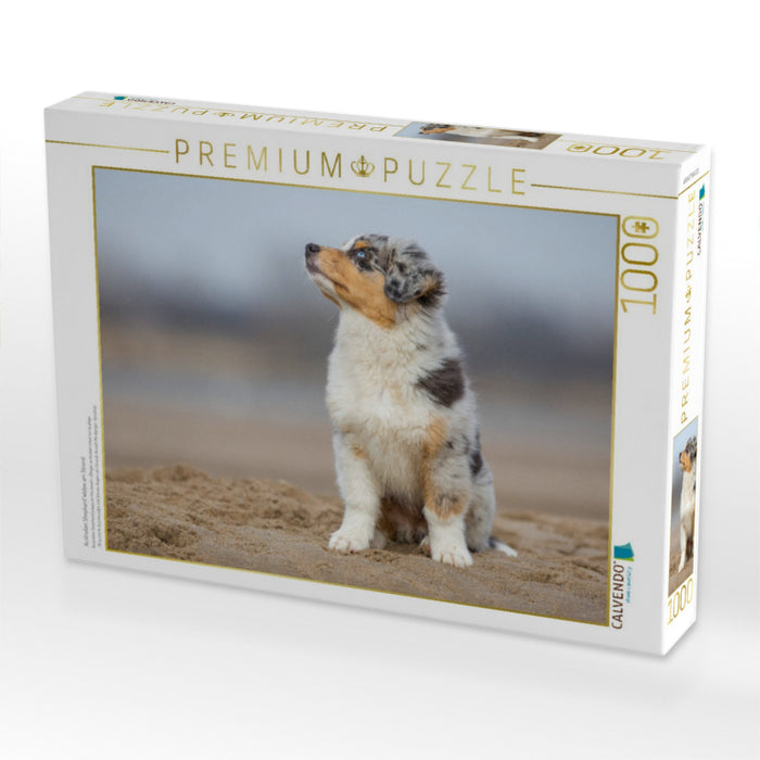 Australian Shepherd Welpe am Strand - CALVENDO Foto-Puzzle'