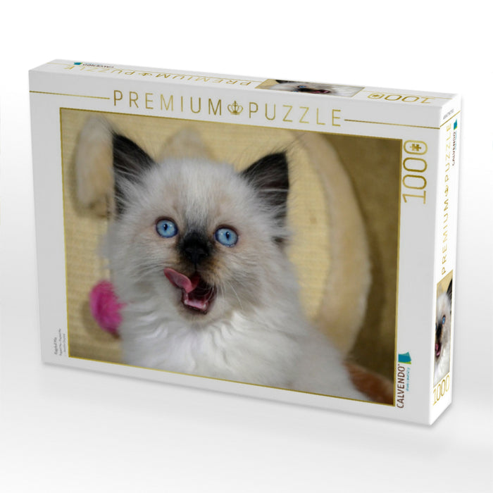 Ragdoll Mix - CALVENDO Foto-Puzzle'