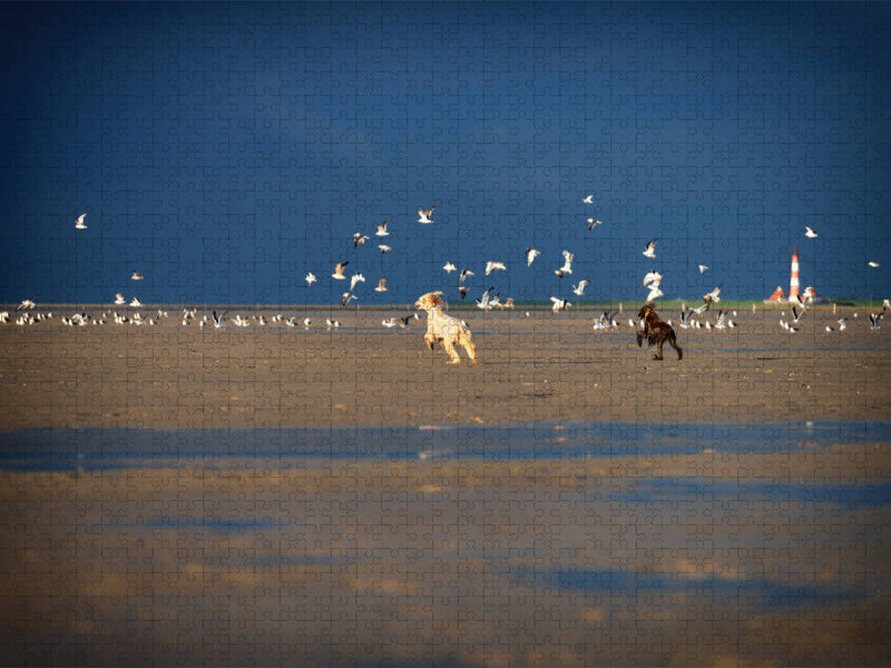 Afghanen jagen Möwen am Strand von Sankt Peter-Ording - CALVENDO Foto-Puzzle'