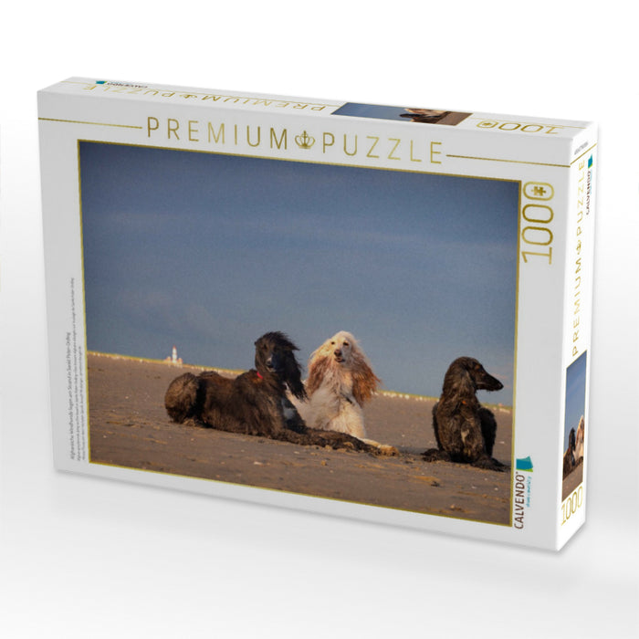 Afghanische Windhunde liegen am Strand in Sankt Peter-Ording - CALVENDO Foto-Puzzle'