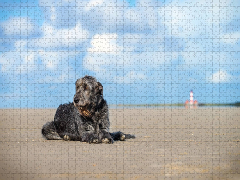Irischer Wolfshund liegt am Strand - CALVENDO Foto-Puzzle'