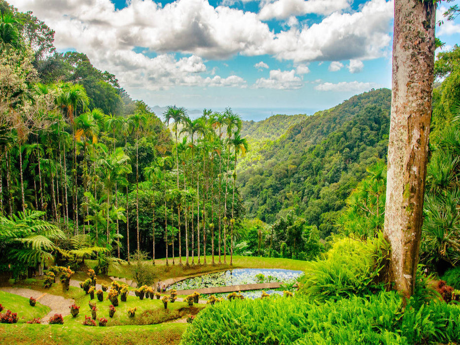 Botanischer Garten - CALVENDO Foto-Puzzle'