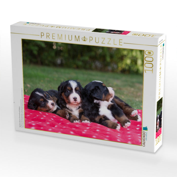 Niedliche Berner Sennenhund Welpen - CALVENDO Foto-Puzzle'